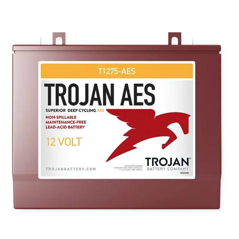 T1275-AES